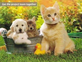 Get the project team together

 