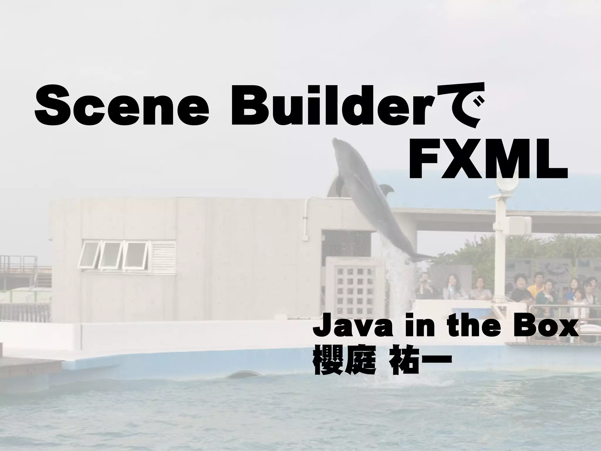 Scene Builderで
            FXML

        Java in the Box
        櫻庭 祐一
 
