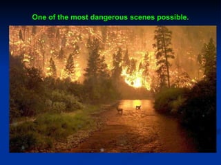 One of the most dangerous scenes possible. 