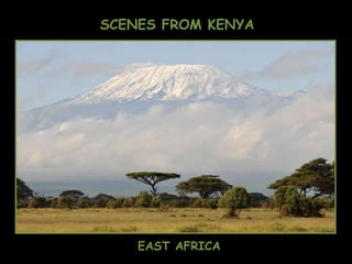 SCENES FROM KENYA EAST AFRICA 