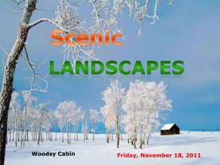 Woodsy Cabin   Friday, November 18, 2011
 
