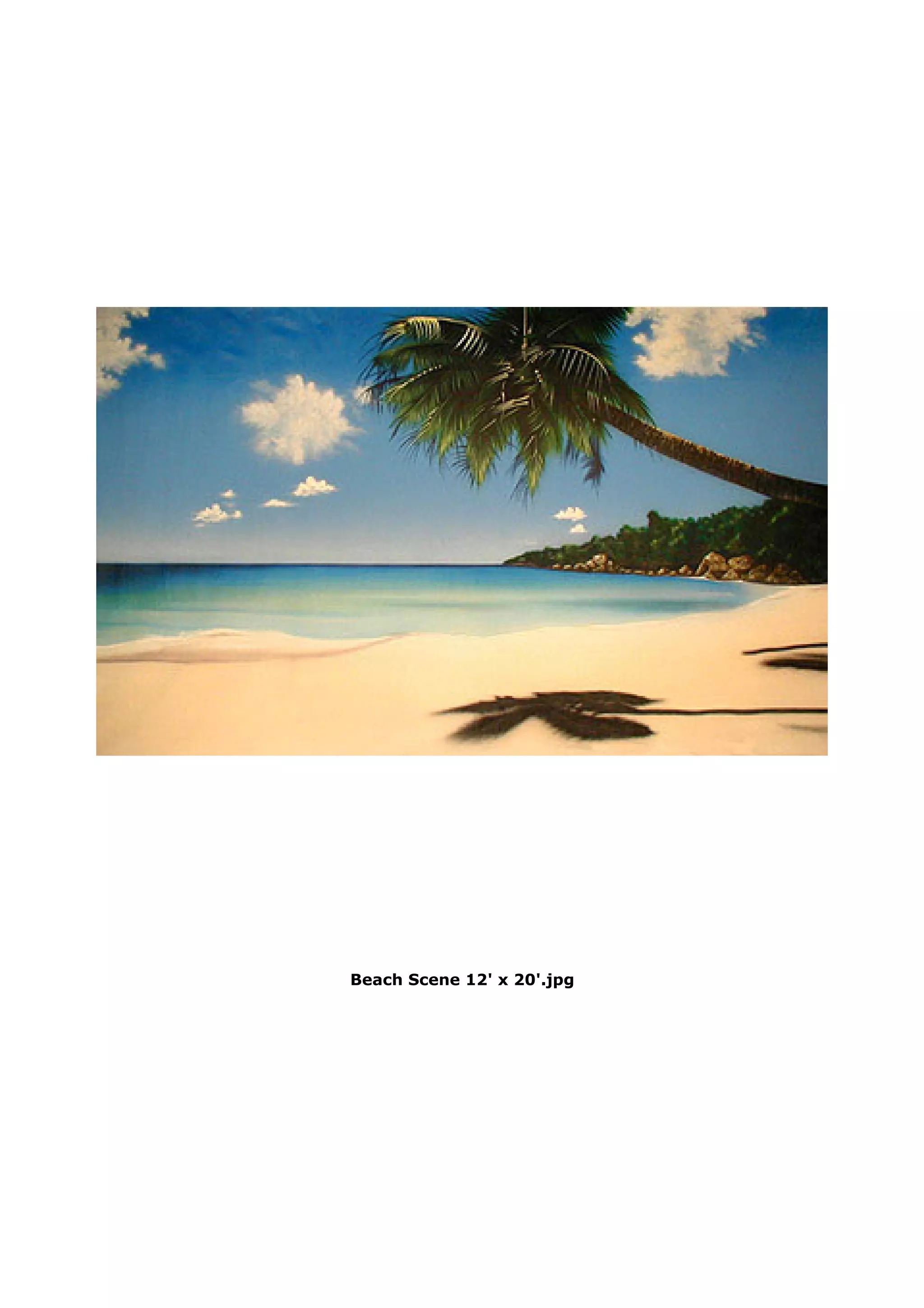 Beach Scene 12' x 20'.jpg
 