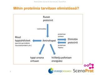 Mihin proteiinia tarvitaan elimistössä?
Novel protein sources for food security (ScenoProt)
2
 