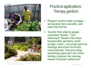 Practical applications:
Therapy gardens
 Pleasant scents make us happy –
we become more sociable, and
even feel better
 ‘Scents that elderly people
remember fondly – “old-
fashioned” flowers like lilacs,
honeysuckle, gardenia, mock
orange, roses – can evoke positive
feelings and often facilitate
conversations, thus providing
something important but often
lacking in places like nursing
homes: Personal connection.’
© Project SOUND
http://my.chicagobotanic.org/education/therapy/the-benefits-of-
outdoor-spaces-for-the-elderly/
 