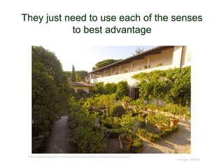They just need to use each of the senses
to best advantage
© Project SOUND
https://www.fourseasons.com/magazine/discover/lorenzo-villoresi-italian-perfumes
 