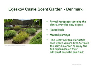 Egeskov Castle Scent Garden - Denmark
 Formal hardscape contains the
plants, provides easy access
 Raised beds
 Massed plantings
 ‘The Scent Garden is a tactile
area where you are free to touch
the plants in order to enjoy the
full experience of their
different aromatic qualities.’
© Project SOUND
https://www.egeskov.dk/en/scent-garden
 