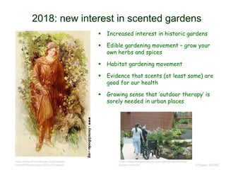 2018: new interest in scented gardens
 Increased interest in historic gardens
 Edible gardening movement – grow your
own herbs and spices
 Habitat gardening movement
 Evidence that scents (at least some) are
good for our health
 Growing sense that ‘outdoor therapy’ is
sorely needed in urban places
© Project SOUND
https://www.fromoldbooks.org/Edwards-
ForestOfArden/pages/000-xii-Rosalind/
https://designforgenerations.com/case-studies/therapy-
garden-merwick/
 