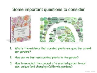 Some important questions to consider
1. What’s the evidence that scented plants are good for us and
our gardens?
2. How can we best use scented plants in the garden?
3. How to we adapt the concept of a scented garden to our
own, unique (and changing) California gardens?
© Project SOUND
https://www.flowerpotman.com/sensory-gardens-at-home/herb-garden/
 