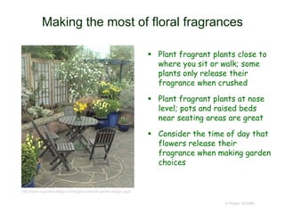 Making the most of floral fragrances
 Plant fragrant plants close to
where you sit or walk; some
plants only release their
fragrance when crushed
 Plant fragrant plants at nose
level; pots and raised beds
near seating areas are great
 Consider the time of day that
flowers release their
fragrance when making garden
choices
© Project SOUND
http://www.si-garden-design.com/page/container-garden-design.aspx
 