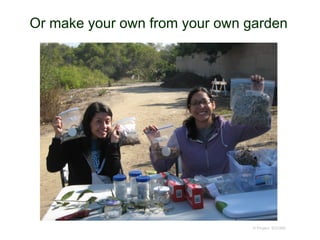 Or make your own from your own garden
© Project SOUND
 