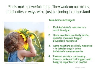 Plants make powerful drugs. They work on our minds
and bodies in ways we’re just beginning to understand
Take home messages:
1. Each individual’s reaction to a
scent is unique
2. Some reactions are likely innate:
specific chemicals trigger
physiologic responses
3. Some reactions are likely mediated
– in complex ways – by an
individual’s scent memories
4. Pleasant scents – particularly
florals – make us feel happier (and
happy is important for health)
© Project SOUND
https://hecticparents.com/2015/11/21/is-being-spiritual-healthy/
 