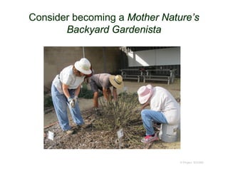 Consider becoming a Mother Nature’s
Backyard Gardenista
© Project SOUND
 