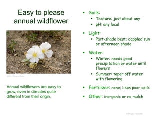 © Project SOUND
Easy to please
annual wildflower
 Soils:
 Texture: just about any
 pH: any local
 Light:
 Part-shade best; dappled sun
or afternoon shade
 Water:
 Winter: needs good
precipitation or water until
flowers
 Summer: taper off water
with flowering
 Fertilizer: none; likes poor soils
 Other: inorganic or no mulch
©2014 Sheryl Creer
Annual wildflowers are easy to
grow, even in climates quite
different from their origin.
 