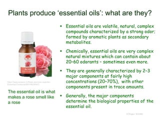 Plants produce ‘essential oils’: what are they?
 Essential oils are volatile, natural, complex
compounds characterized by a strong odor;
formed by aromatic plants as secondary
metabolites.
 Chemically, essential oils are very complex
natural mixtures which can contain about
20–60 odorants – sometimes even more.
 They are generally characterized by 2–3
major components at fairly high
concentrations (20–70%), with other
components present in trace amounts.
 Generally, the major components
determine the biological properties of the
essential oil.
© Project SOUND
The essential oil is what
makes a rose smell like
a rose
https://www.amazon.in/Rose-Jasmine-Lavender-
Essential-Combo/dp/B01HBGR95O
 