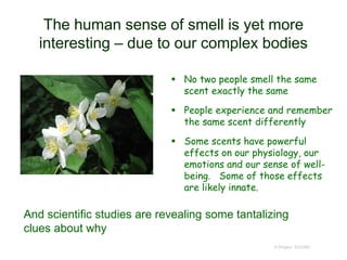 The human sense of smell is yet more
interesting – due to our complex bodies
 No two people smell the same
scent exactly the same
 People experience and remember
the same scent differently
 Some scents have powerful
effects on our physiology, our
emotions and our sense of well-
being. Some of those effects
are likely innate.
© Project SOUND
And scientific studies are revealing some tantalizing
clues about why
 