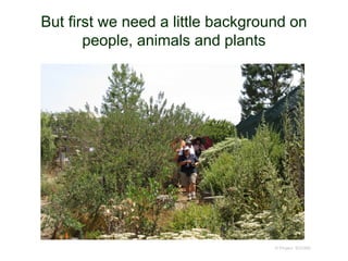 But first we need a little background on
people, animals and plants
© Project SOUND
 
