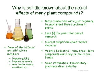 Why is so little known about the actual
effects of many plant compounds?
 Many compounds; we’re just beginning
to understand their functions in
plants
 Less $$ for plant than animal
research
 Current skepticism about ‘herbal
medicine
 Volatile & reactive – many break-down
compounds which may be the active
forms
 Some information is proprietary –
pharmaceutical industry
© Project SOUND
 Some of the ‘effects’
are difficult to
measure:
 Happen quickly
 Happen internally
 May involve moods,
emotions, etc.
 