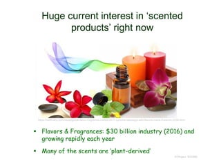 Huge current interest in ‘scented
products’ right now
 Flavors & Fragrances: $30 billion industry (2016) and
growing rapidly each year
 Many of the scents are ‘plant-derived’
© Project SOUND
https://swiftnary.com/news/global-flavor-fragrance-market-2017-symrise-takasago-wild-flavors-mane-frutarom-2238.html
 