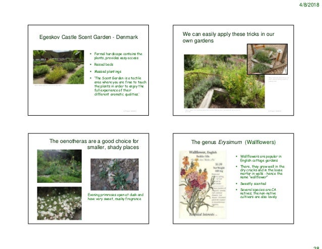 Scent Gardens 2018 Notes