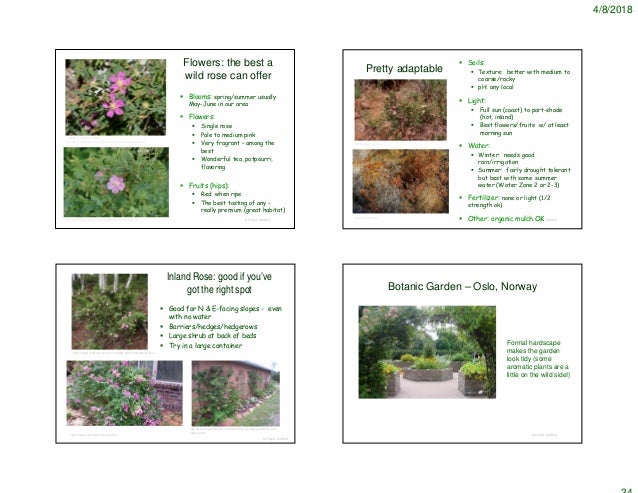 Scent Gardens 2018 Notes