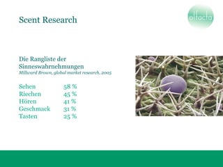 Scent Research
Die Rangliste der
Sinneswahrnehmungen
Millward Brown, global market research, 2005
Sehen 58 %
Riechen 45 %
Hören 41 %
Geschmack 31 %
Tasten 25 %
 