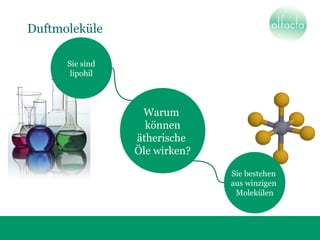 Warum
können
ätherische
Öle wirken?
Sie sind
lipohil
Sie bestehen
aus winzigen
Molekülen
Duftmoleküle
 