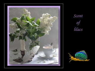 Scent
  of
lilacs
 