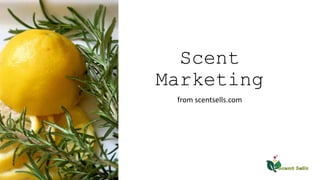 Scent
Marketing
from scentsells.com
 