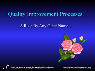 Quality Improvement Processes A Rose By Any Other Name…  