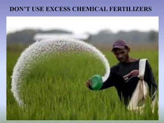 DON’T USE EXCESS CHEMICAL FERTILIZERS
 