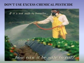 DON’T USE EXCESS CHEMICAL PESTICIDE
 