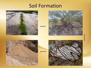 Soil Formation
 