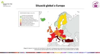 Situació global a Europa
Albiger B, Glasner C, Struelens M, Grundmann H, Monnet D. Carbapenemase-producing Enterobacteriaceae in Europe:
assessment by national experts from 38 countries, May 2015. Eurosurveillance 2015; 20: 30062
 
