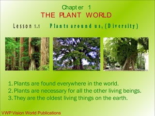 Chapt er 1 
THE PLANT WORLD 
L e s s o n 1 . 1 P l a n t s a r o u n d u s , ( D i v e r s i t y ) 
1.Plants are found everywhere in the world. 
2.Plants are necessary for all the other living beings. 
3. They are the oldest living things on the earth. 
VWP Vision World Publications 
 
