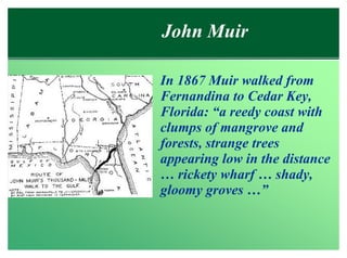 John Muir

In 1867 Muir walked from
Fernandina to Cedar Key,
Florida: “a reedy coast with
clumps of mangrove and
forests, strange trees
appearing low in the distance
… rickety wharf … shady,
gloomy groves …”
 