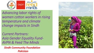 Advancing labor rights of
women cotton workers in rising
temperature and climate
change impacts in Sindh
Current Partners:
Asia Gender Equality Fund-
AVPN & Feed The Minds
Sindh Community Foundation
Pakistan
 