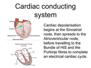 Cardiac conducting
system
Cardiac depolarisation
begins at the Sinoatrial
node, then spreads to the
Atrioventricular node,
before travelling to the
Bundle of HIS and the
Purkinje fibres to complete
an electrical cardiac cycle.
 