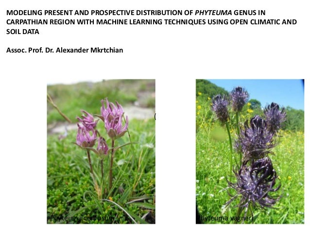 Phyteuma vagneri
(
Phyteuma confusum
MODELING PRESENT AND PROSPECTIVE DISTRIBUTION OF PHYTEUMA GENUS IN
CARPATHIAN REGION WITH MACHINE LEARNING TECHNIQUES USING OPEN CLIMATIC AND
SOIL DATA
Assoc. Prof. Dr. Alexander Mkrtchian
 