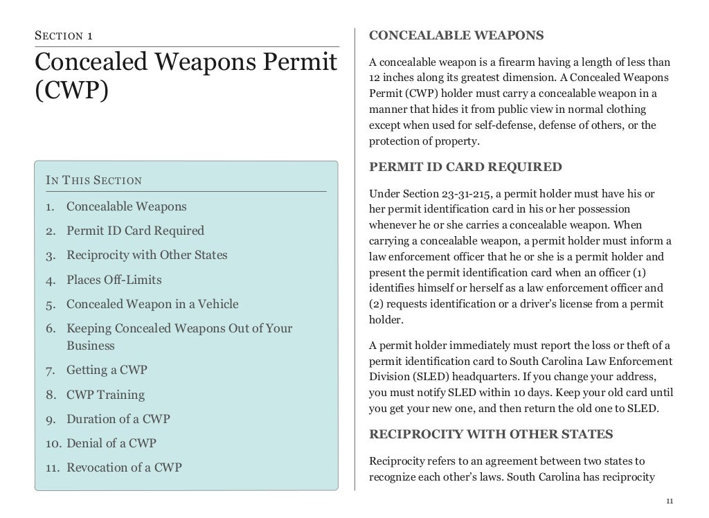 Gun Laws in South Carolina Piecing It All Together