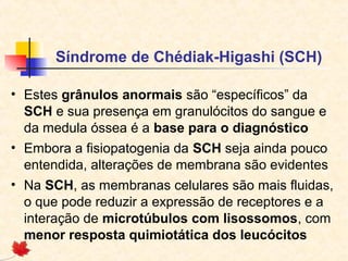 Síndrome de Chédiak-Higashi (SCH)
• Estes grânulos anormais são “específicos” da
SCH e sua presença em granulócitos do sangue e
da medula óssea é a base para o diagnóstico
• Embora a fisiopatogenia da SCH seja ainda pouco
entendida, alterações de membrana são evidentes
• Na SCH, as membranas celulares são mais fluidas,
o que pode reduzir a expressão de receptores e a
interação de microtúbulos com lisossomos, com
menor resposta quimiotática dos leucócitos

 