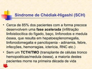 Síndrome de Chédiak-Higashi (SCH)
• Cerca de 85% dos pacientes com a forma precoce
desenvolvem uma fase acelerada (infiltração
linfoistiocítica do fígado, baço, linfonodos e medula
óssea, que resulta em hepatoesplenomegalia,
linfonodomegalia e pancitopenia - adinamia, febre,
infecções, hemorragias, icterícia, RNC etc.)
• Sem um TCTH/TMO (transplante de células tronco
hemopoéticas/medula óssea), a maioria destes
pacientes morre na primeira década de vida

 