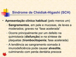 Síndrome de Chédiak-Higashi (SCH)
• Apresentação clínica habitual (pelo menos um)
– Sangramentos, em pele e mucosas, de leves a
moderados; graves na “fase acelerada”
– Ocorre principalmente por um defeito na
quimiotaxia (disfunção) e na síntese de
plaquetas (trombocitopenia; fase acelerada)
– A tendência ao sangramento somada à
imunodeficiência pode causar alveolite,
culminando com perda dentária precoce

 