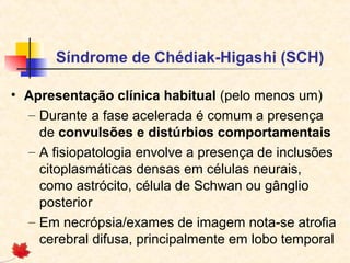Síndrome de Chédiak-Higashi (SCH)
• Apresentação clínica habitual (pelo menos um)
– Durante a fase acelerada é comum a presença
de convulsões e distúrbios comportamentais
– A fisiopatologia envolve a presença de inclusões
citoplasmáticas densas em células neurais,
como astrócito, célula de Schwan ou gânglio
posterior
– Em necrópsia/exames de imagem nota-se atrofia
cerebral difusa, principalmente em lobo temporal

 