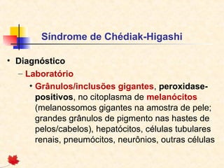 Síndrome de Chédiak-Higashi
• Diagnóstico
– Laboratório
• Grânulos/inclusões gigantes, peroxidasepositivos, no citoplasma de melanócitos
(melanossomos gigantes na amostra de pele;
grandes grânulos de pigmento nas hastes de
pelos/cabelos), hepatócitos, células tubulares
renais, pneumócitos, neurônios, outras células

 