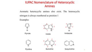 IUPAC Nomenclature of Heterocyclic
Amines
12
Aromatic heterocyclic amines also exist. The heterocyclic
nitrogen is always numbered as position 1
Examples
 