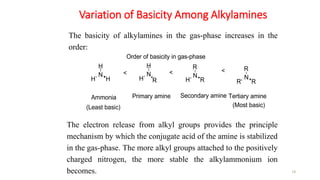Variation of Basicity Among Alkylamines
18
The electron release from alkyl groups provides the principle
mechanism by which the conjugate acid of the amine is stabilized
in the gas-phase. The more alkyl groups attached to the positively
charged nitrogen, the more stable the alkylammonium ion
becomes.
The basicity of alkylamines in the gas-phase increases in the
order:
N
H
H
H N
R
R
R
N
H
R
H
< N
R
R
H
<
<
Ammonia
(Least basic)
Primary amine Secondary amine Tertiary amine
(Most basic)
Order of basicity in gas-phase
 