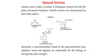 Natural Amines
3
Amines occur widely in nature in biological systems (in both the
plant and animal kingdom). Smaller amines are characterised by
their fishy odours.
Serotonin, a neurotransmitter found in the gastrointestinal tract,
regulates mood and appetite (is responsible for the feeling of
having had eaten enough).
 