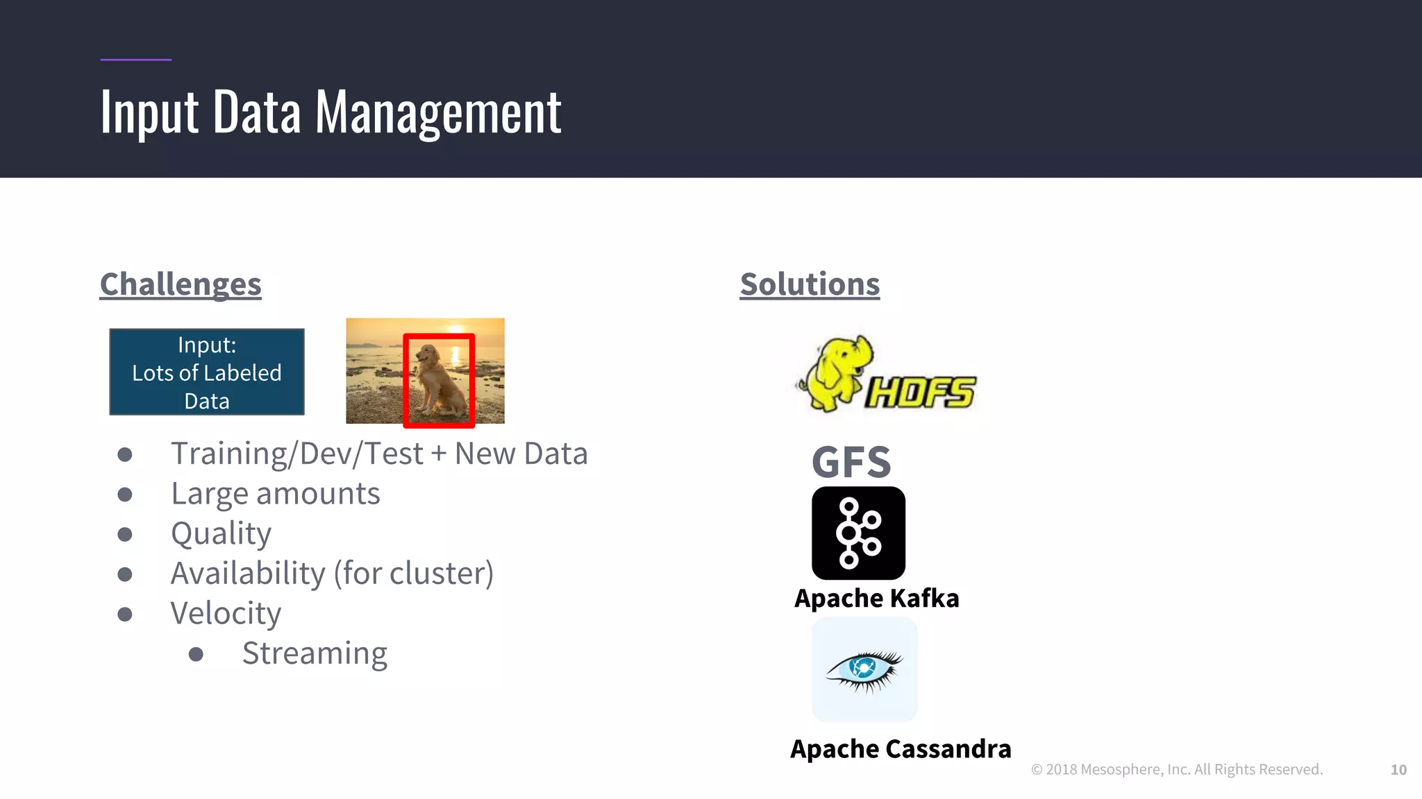 © 2018 Mesosphere, Inc. All Rights Reserved. 10
Challenges
●
● Training/Dev/Test + New Data
● Large amounts
● Quality
● Availability (for cluster)
● Velocity
● Streaming
Solutions
GFS
Input Data Management
Input:
Lots of Labeled
Data
Apache Kafka
Apache Cassandra
 
