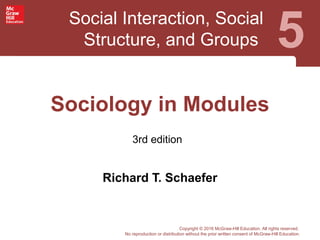 Social Interaction, Social
Structure, and Groups 5
3rd edition
Copyright © 2016 McGraw-Hill Education. All rights reserved.
No reproduction or distribution without the prior written consent of McGraw-Hill Education.
Sociology in Modules
Richard T. Schaefer
 
