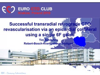 RBK – Coronary Interventions
Successful transradial retrograde CTO
revascularisation via an epicardial collateral
using a single 6F guide
Tim Schäufele
Robert-Bosch-Krankenhaus Stuttgart
1
 